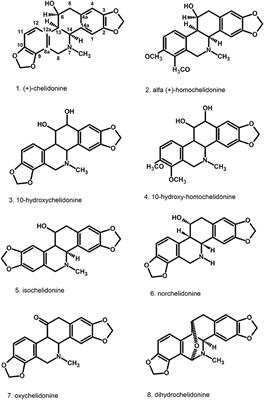 Greater Celandine's Ups and Downs−21 Centuries of Medicinal Uses of Chelidonium majus From the Viewpoint of Today's Pharmacology